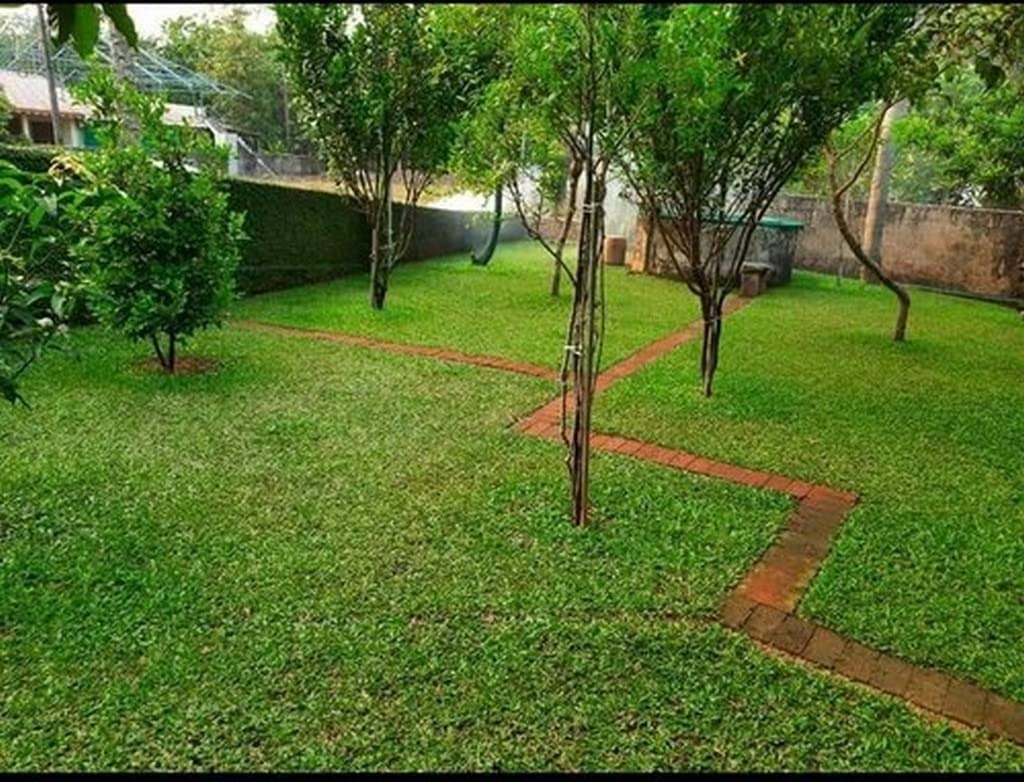 Garden Transformation