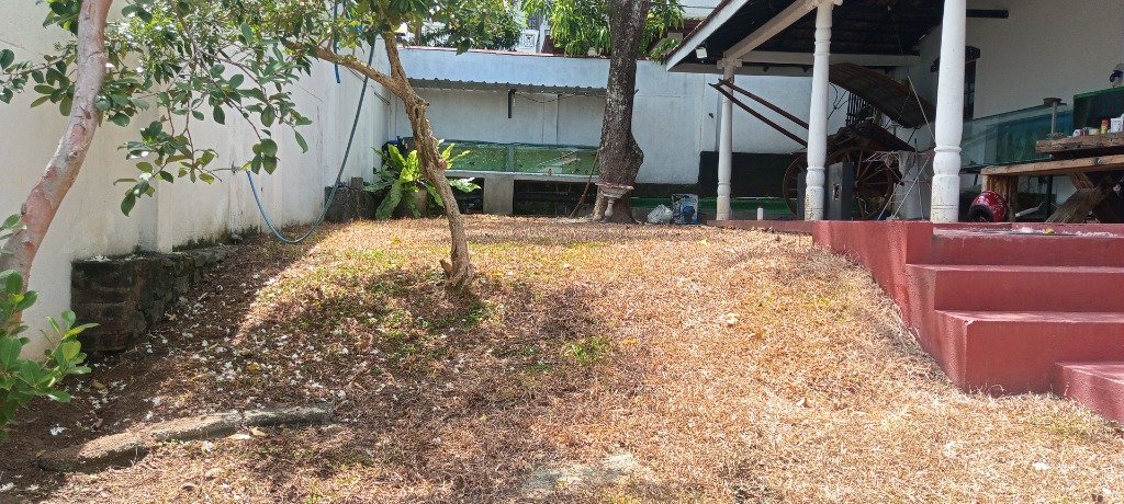 Real After Photo