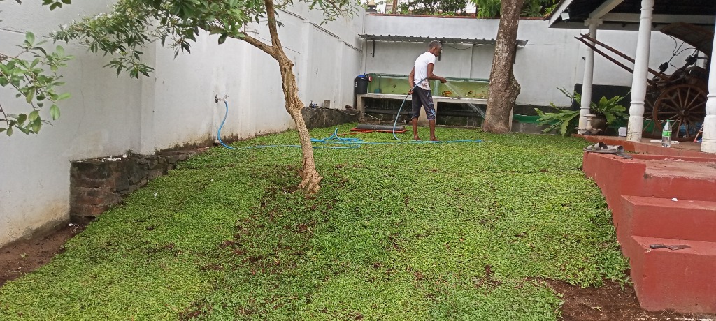 Site Before Work