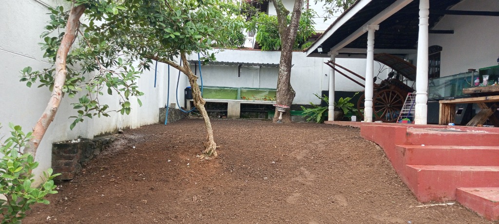 Soil Preparation & Fertilizing